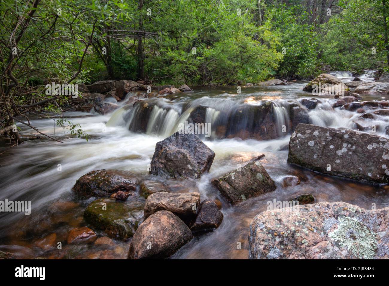 A lively mountain stream cascades through granite boulders at sunset in