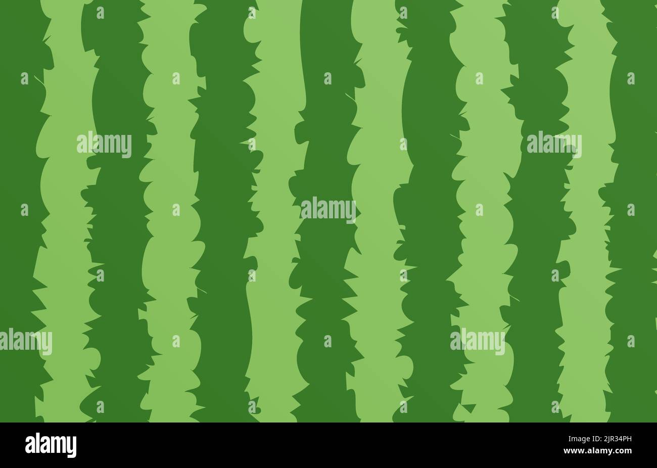 Watermelon pattern texture stripe vector background. Summer watermelon