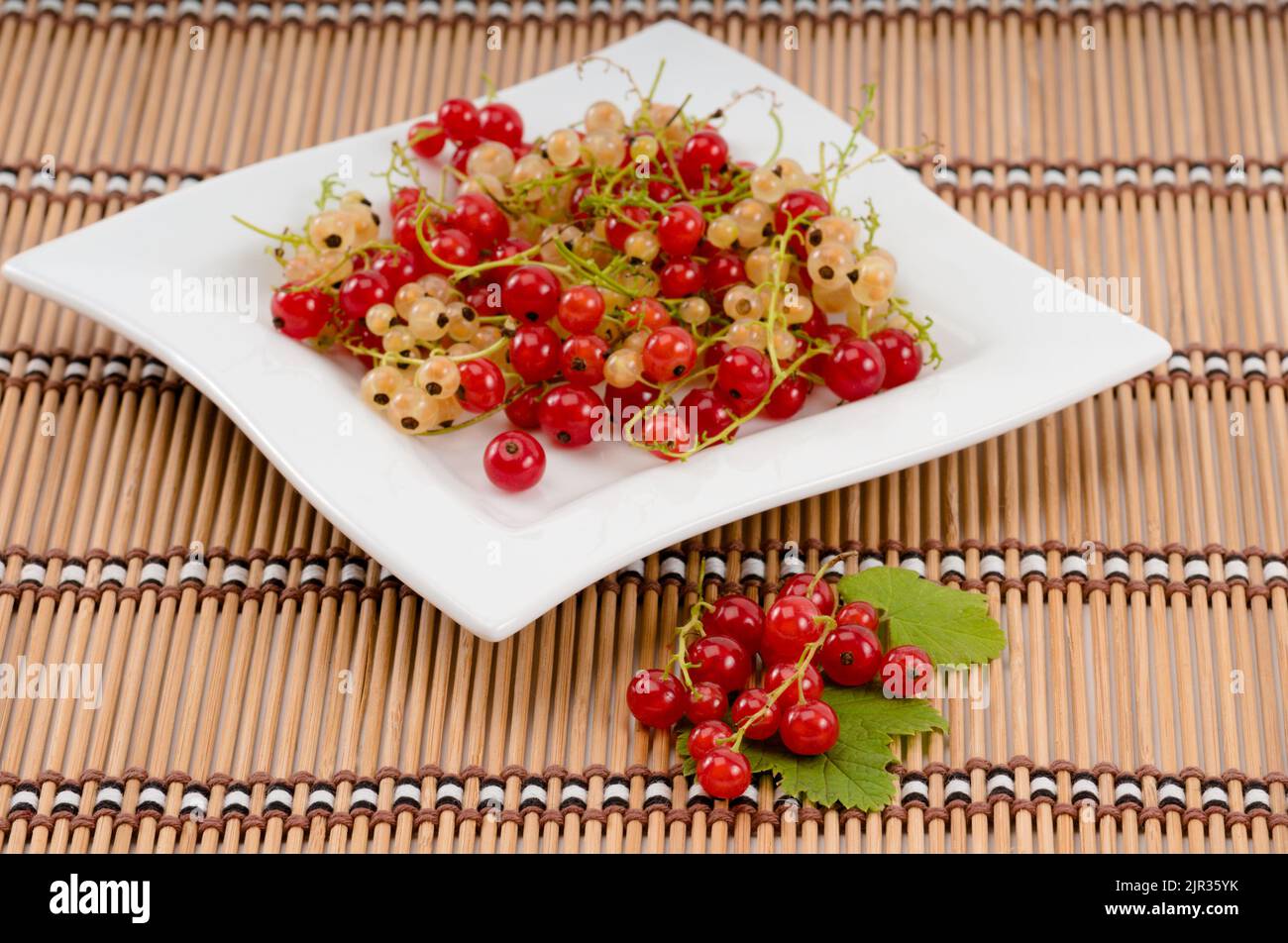 Fresh red and white currant berries on a plate Stock Photo