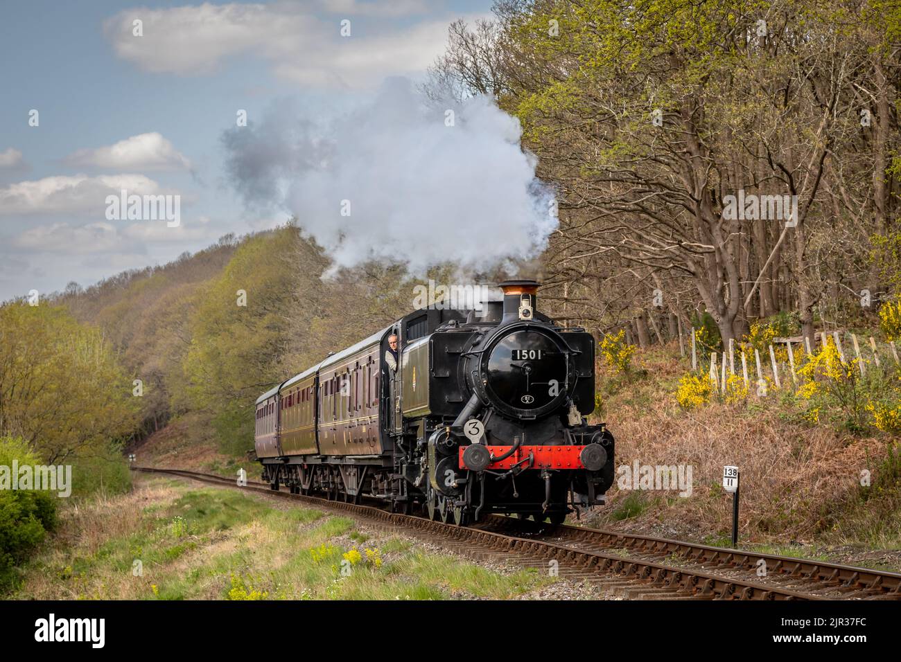 BR '1500' class 0-6-0PT No. 1501 passes Norrthwood Lane on the Severn Valley Railway, Worcestershire Stock Photo