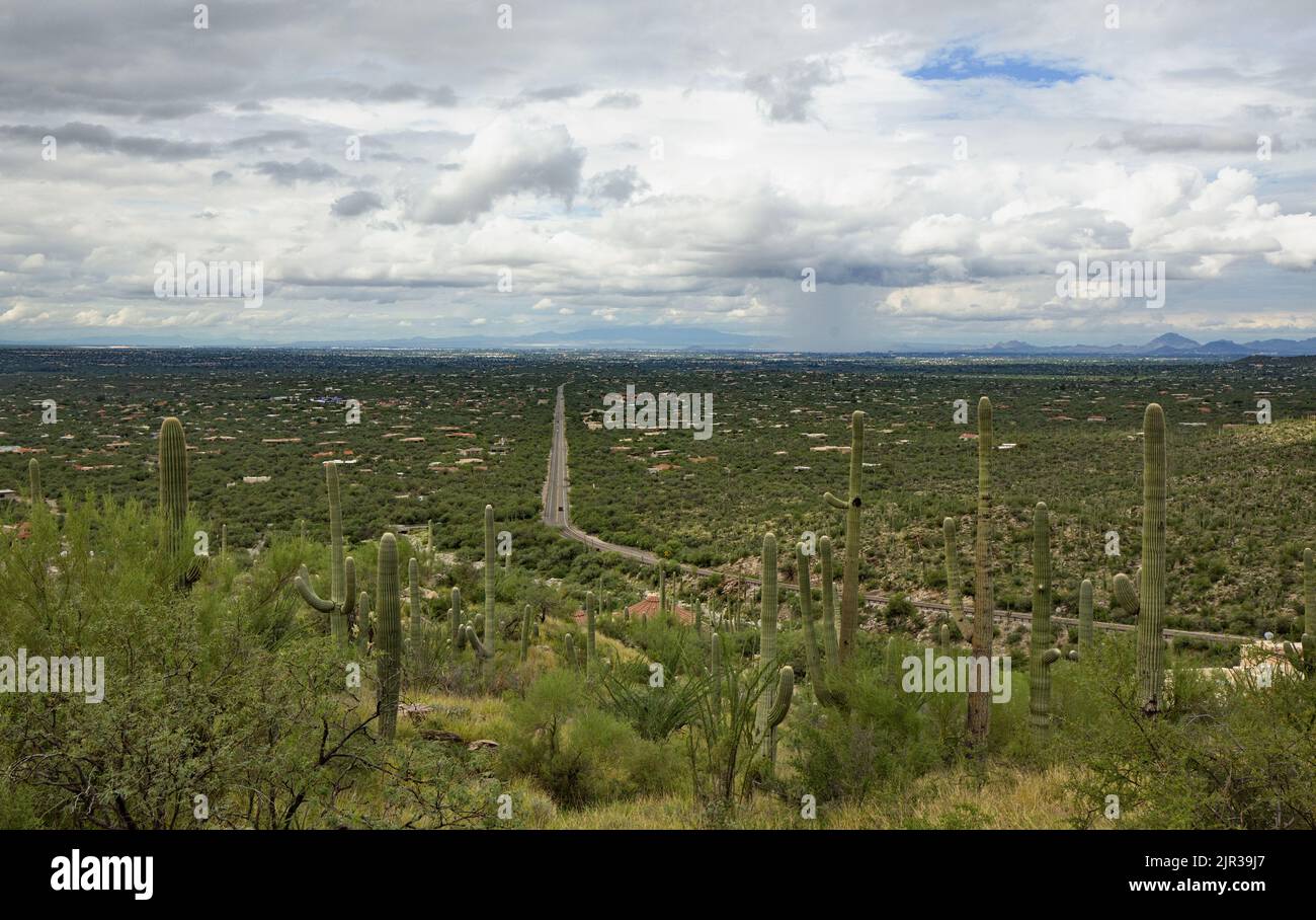 Landscape shows Catalina Highway leading from Mount Lemmon into Tucson in symbol of journey and connection, desert and urban Stock Photo