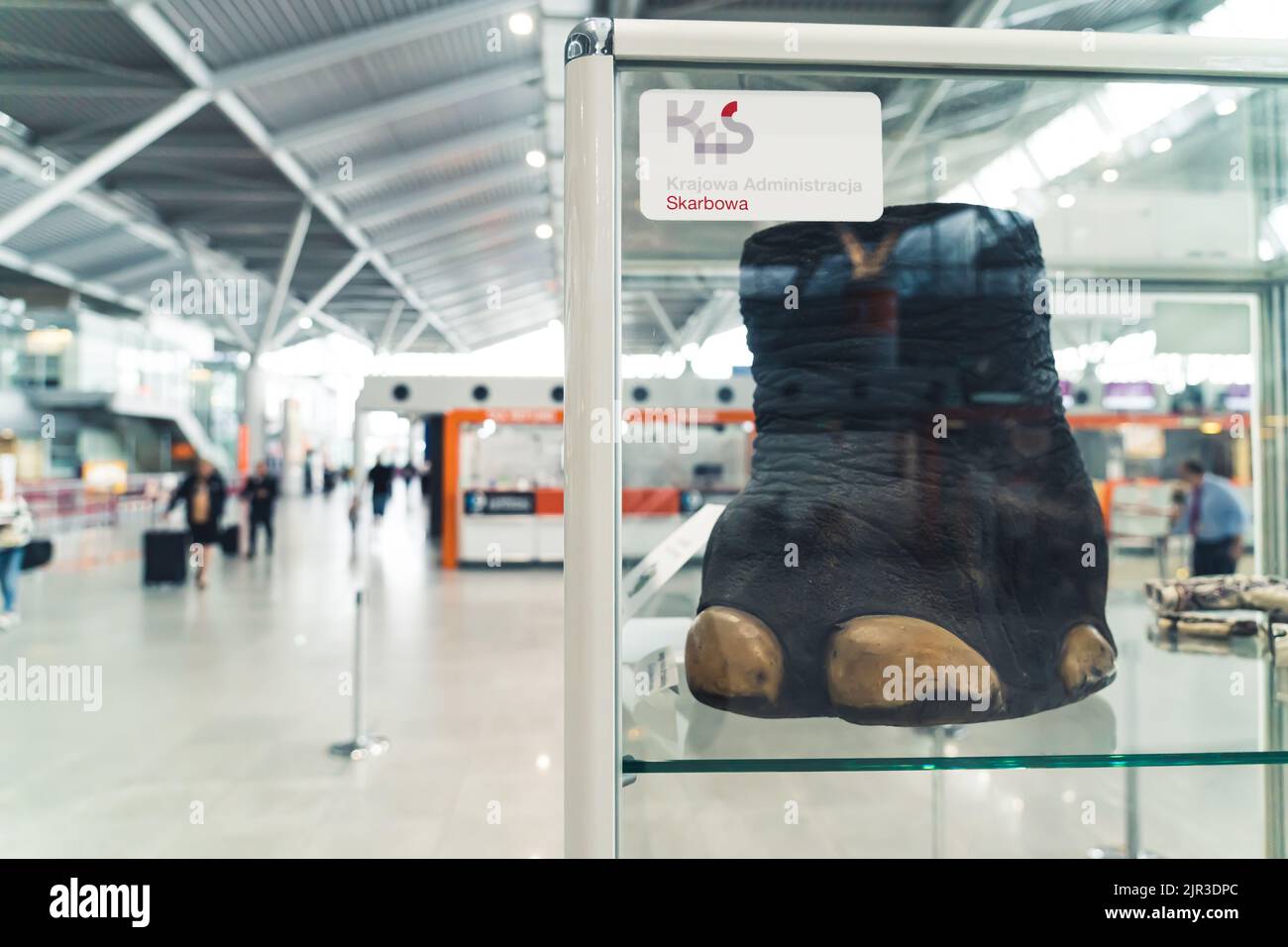 07.13.2022 Warsaw, Poland. Huge black leg of an elephant taken from a smuggler at the Warsaw Chopin Airport. Strange objects found by customs officers. High quality photo Stock Photo