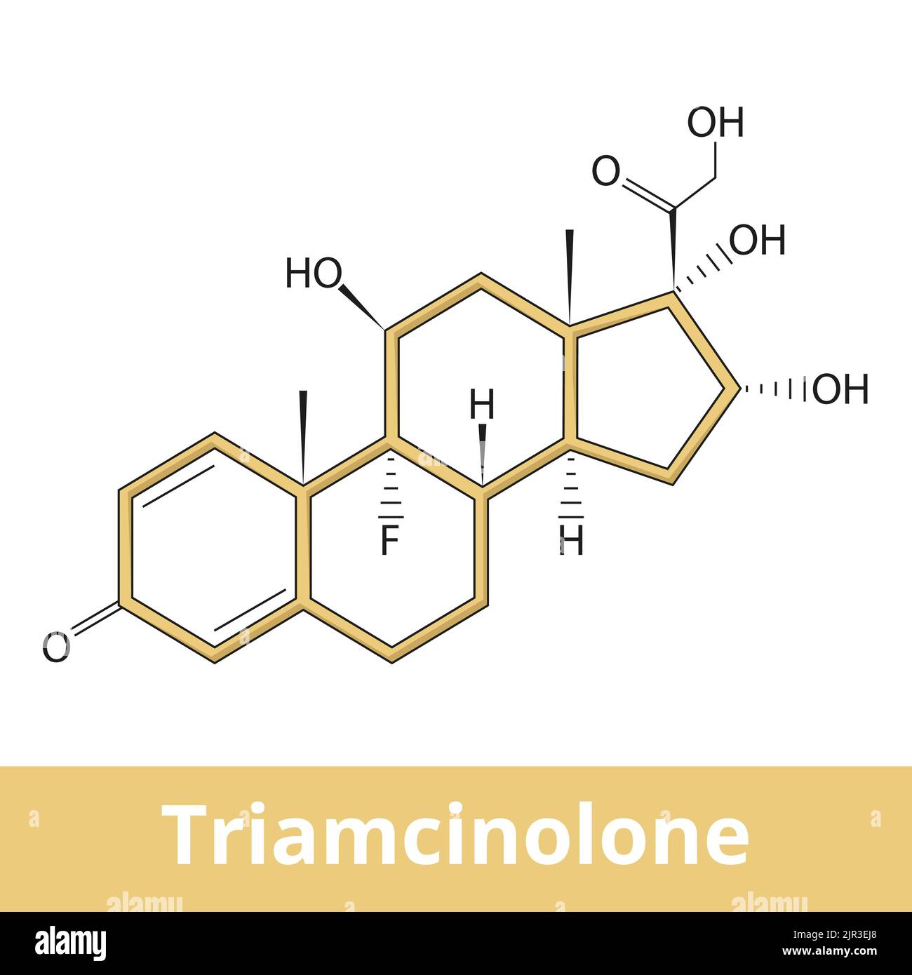 Triamcinolone stock vector images alamy