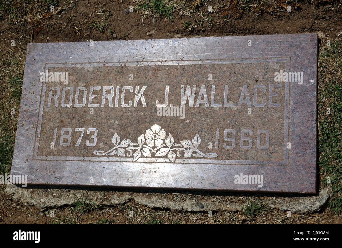 Inglewood, California, USA 19th August 2022 MLB Baseball Player