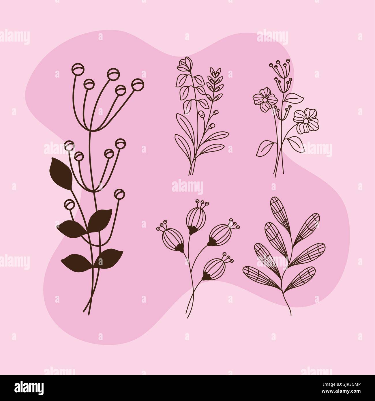 five flowers garden icons Stock Vector
