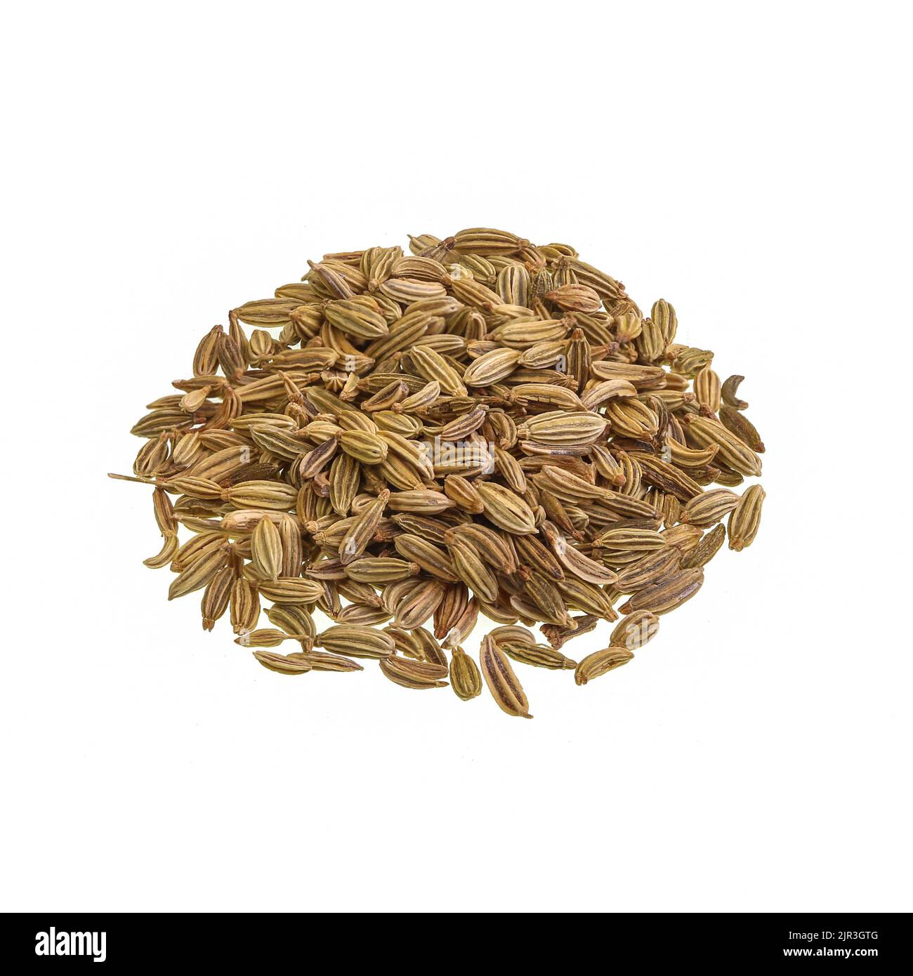 Fennel is a perennial flowering plant, Foeniculum vulgare, in the