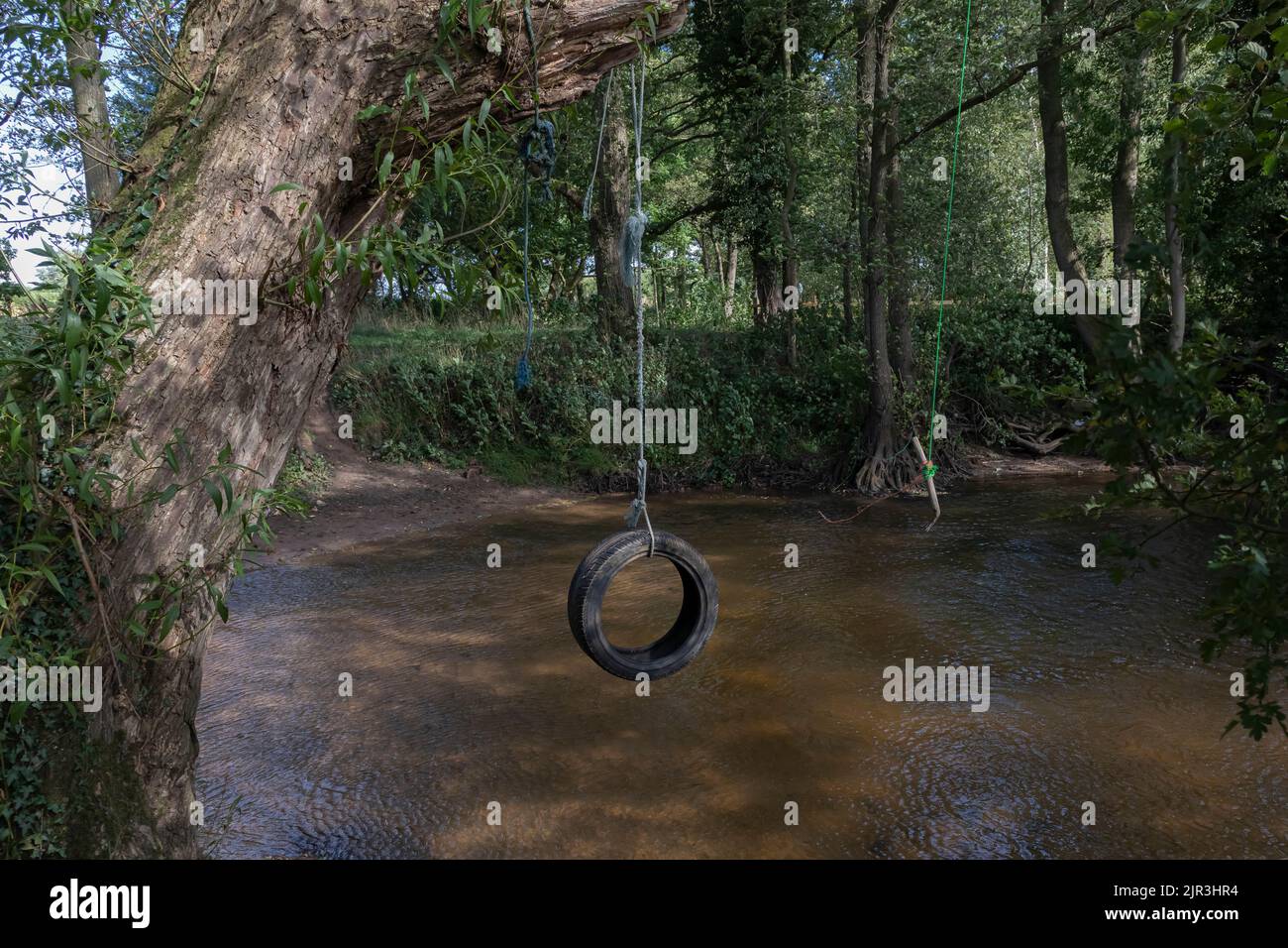 Rope swing over lake hi-res stock photography and images - Alamy