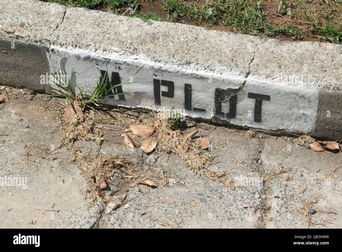 Inglewood, California, USA 19th August 2022 M Plot Section at Inglewood