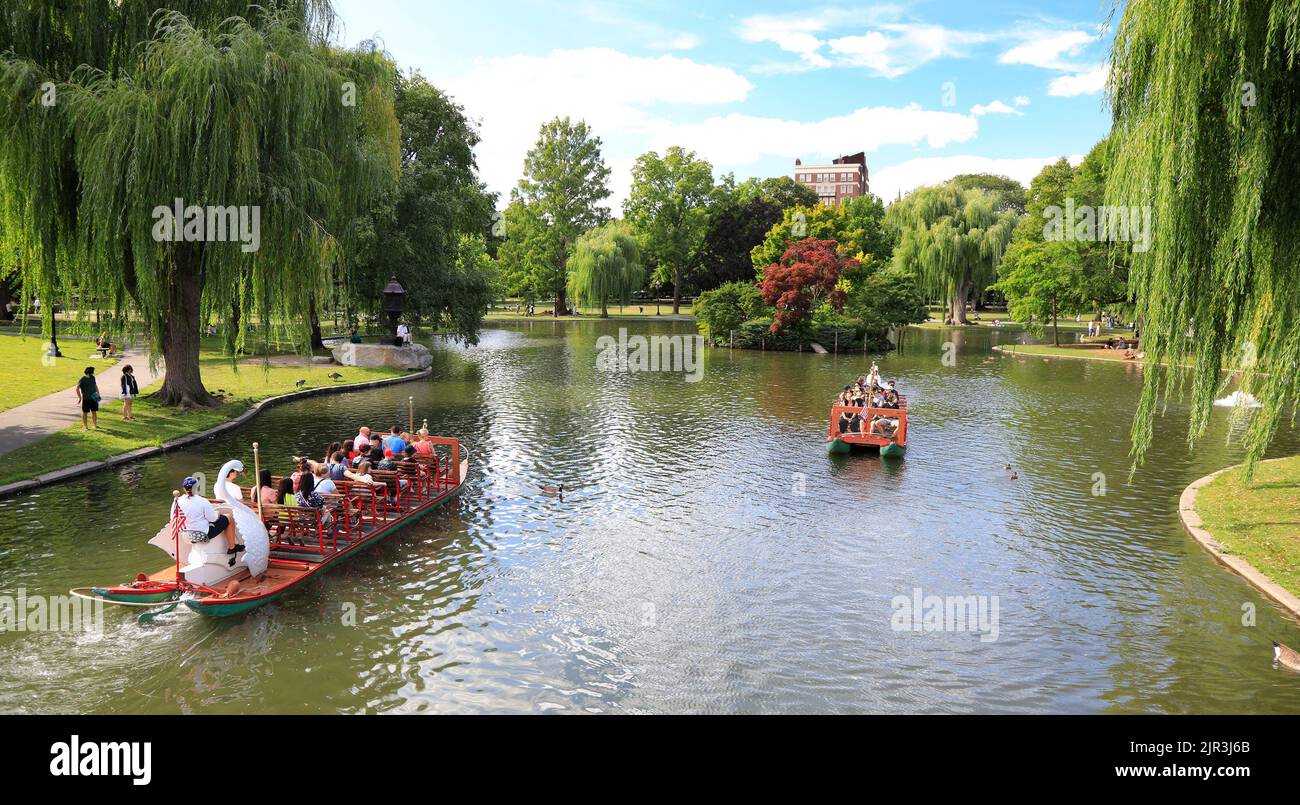 Tourists riding and enjoying Swan boats on the lake, Public Garden in Boston. The boats have been in operation since 1877, and have since become a cul Stock Photo