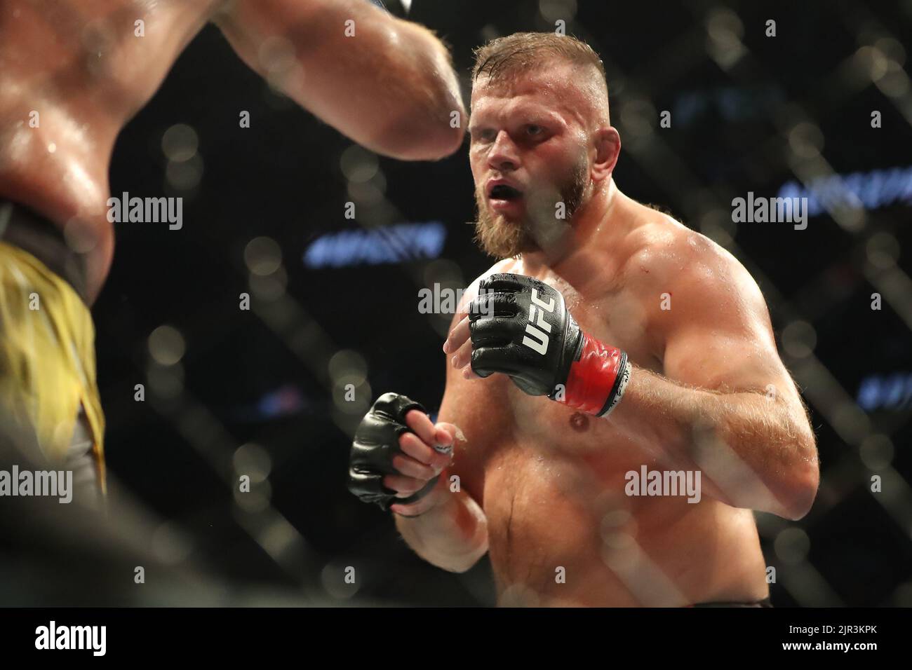 SALT LAKE CITY, UT - AUGUST 20: Marcin Tybura and Alexandr Romanov meet in the octagon for their Heavyweight bout at UFC 278 at the Vivint Arena on August 20, 2022 in Salt Lake City, Utah, United States. (Photo by Alejandro Salazar/PxImages) Stock Photo