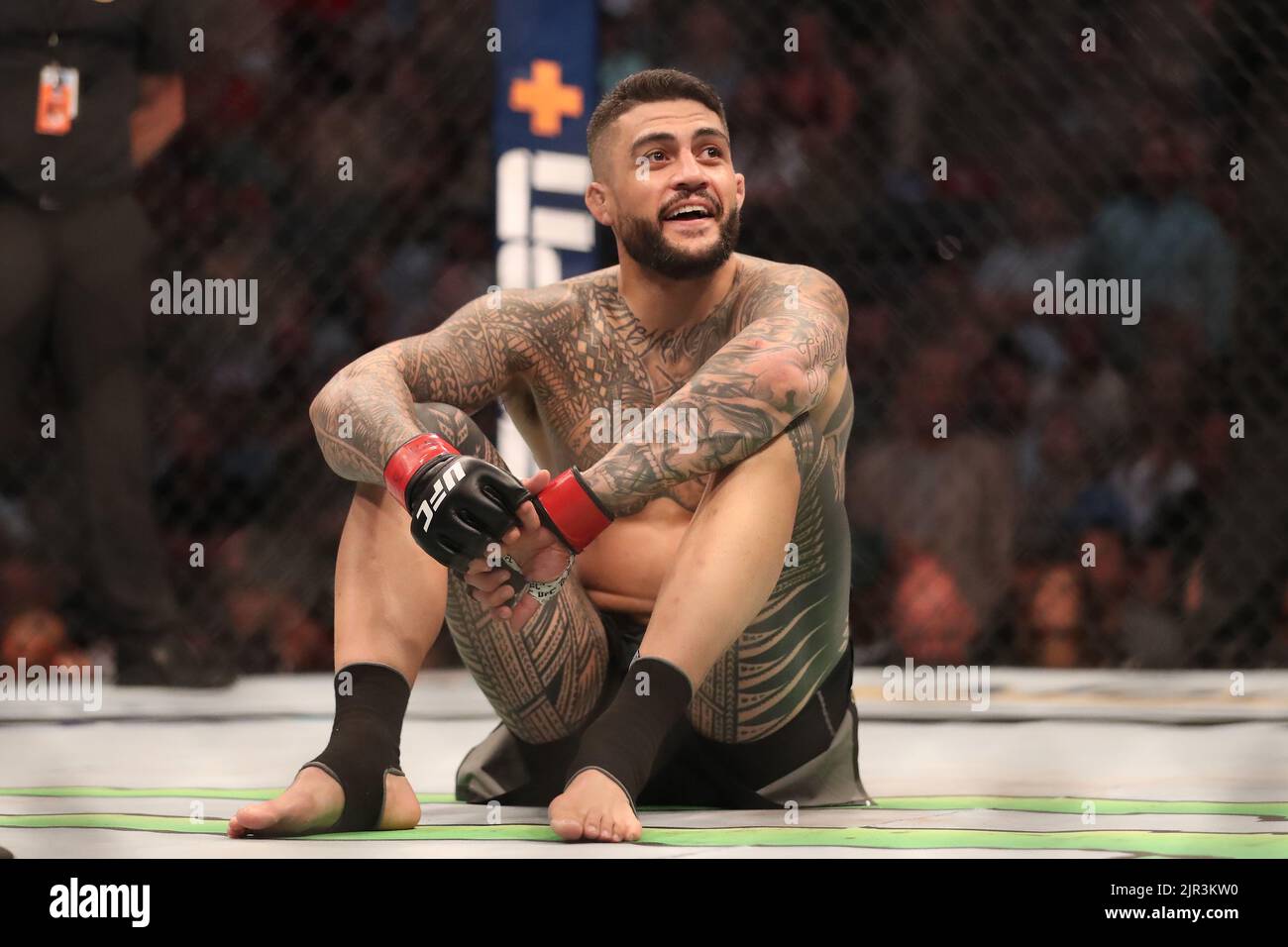SALT LAKE CITY, UT - AUGUST 20: Tyson Pedro and Harry Hunsucker meet in the octagon for their Light Heavyweight bout at UFC 278 at the Vivint Arena on August 20, 2022 in Salt Lake City, Utah, United States. (Photo by Alejandro Salazar/PxImages) Stock Photo
