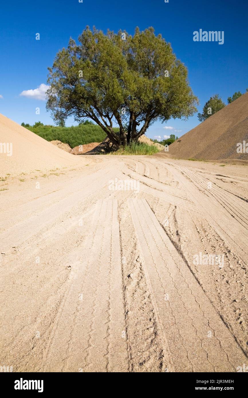 Heavy tire tracks leading to mounds of tan and brown sand and a deciduous tree in a commercial sandpit. Stock Photo