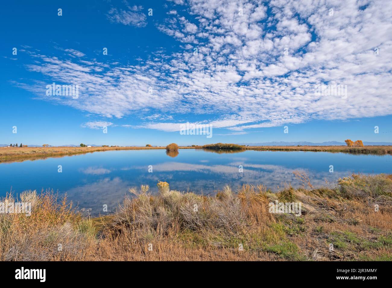 High Clouds Over a Serene Wetland Pond in the Monte Vista National Wildlife Refuge in Colorado Stock Photo