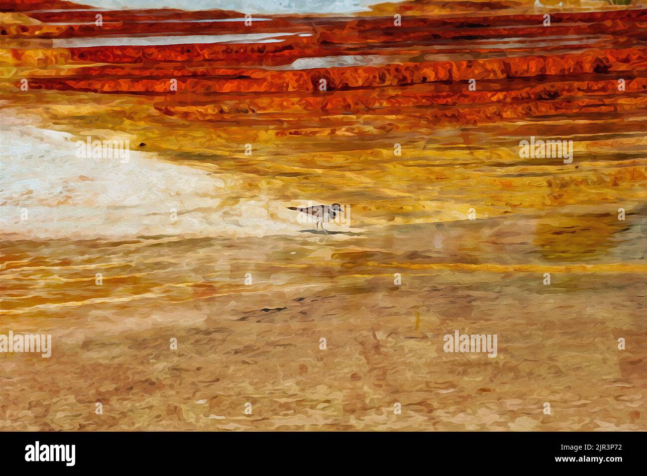 Digitally created watercolor painting of a killdeer in the Mammoth Hot Springs Stock Photo