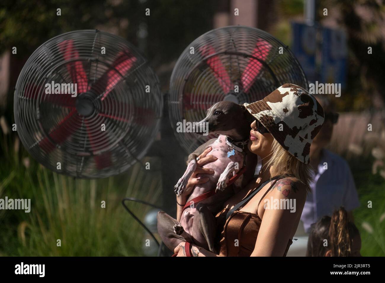 Los Angeles, California, USA. 21st Aug, 2022. A woman with her dog cools off in front of water vapor fans in the ''Grand Park's Sunday Sessions'' event, a summer dance party sponsored by The Music Center, Sunday Aug. 21, 2022, in downtown Los Angeles. (Credit Image: © Ringo Chiu/ZUMA Press Wire) Stock Photo