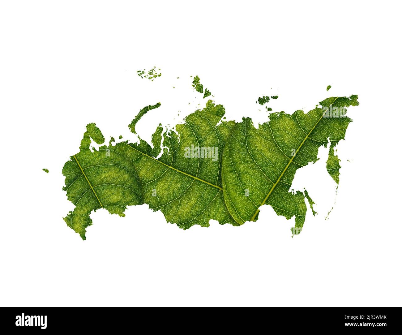 A map of Russia made of green leaves on white background. Ecology
