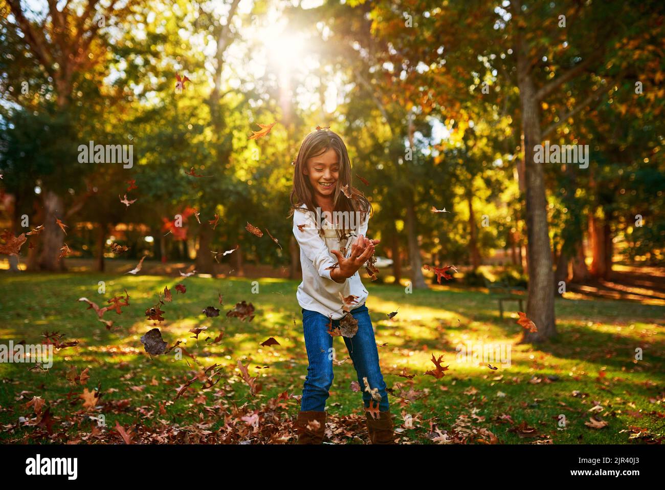 Its not autumn until you play in the leaves. a happy little girl playing in the autumn leaves outdoors. Stock Photo