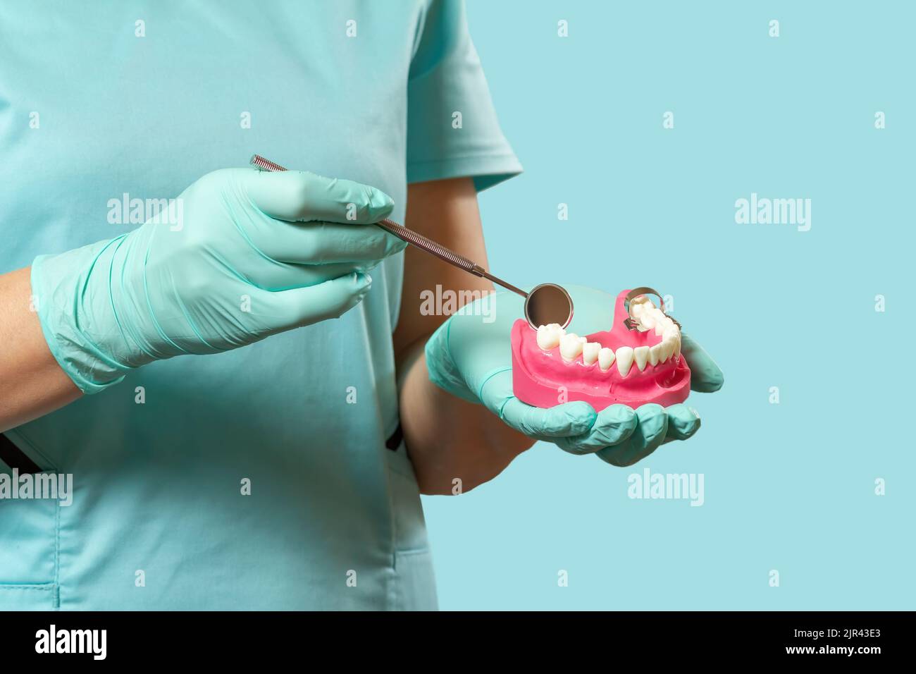 Dentist holding mouth mirror and layout of the human jaw Stock Photo