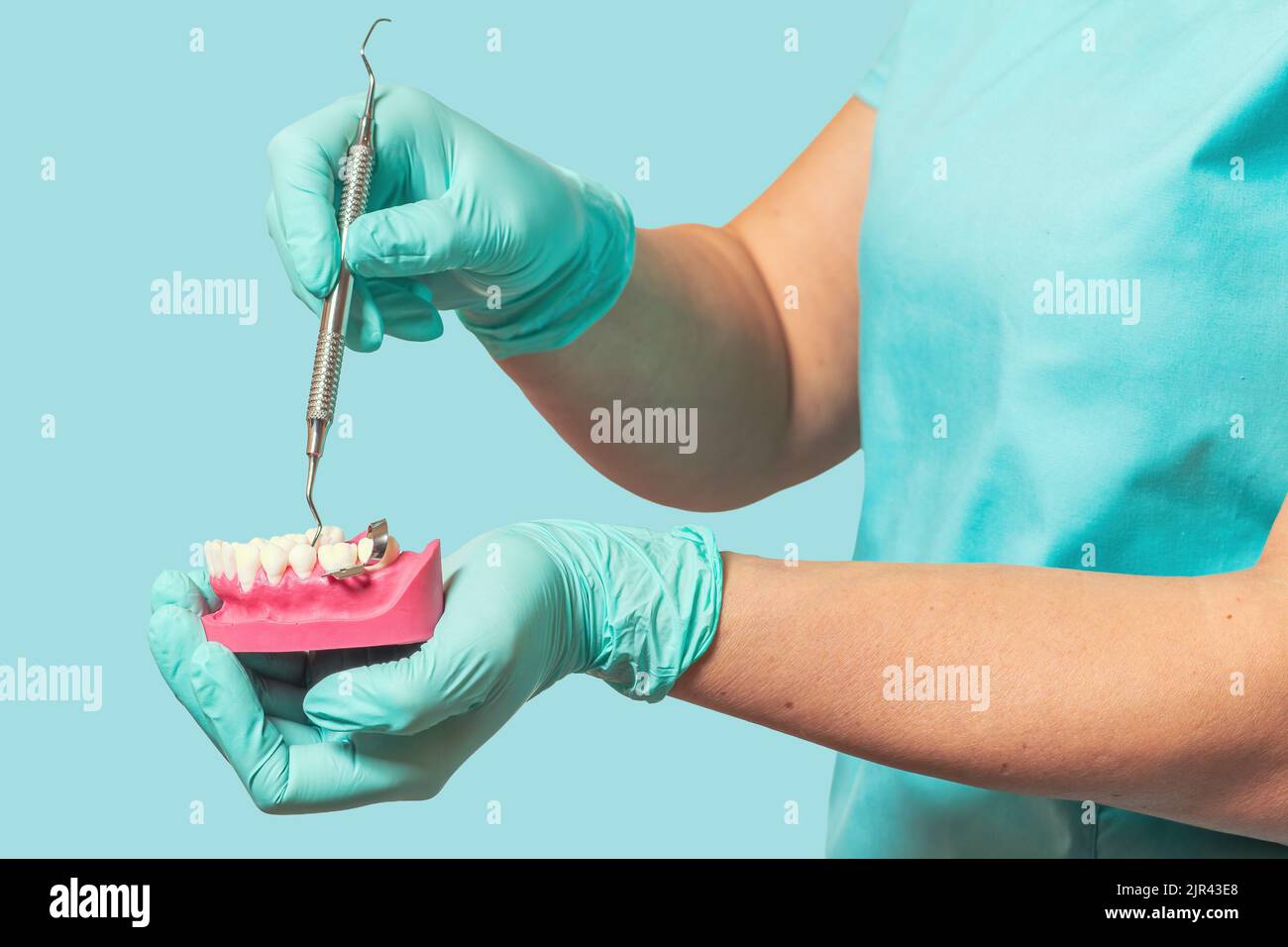 Dentist's hands with layout of the human jaw and probe Stock Photo - Alamy