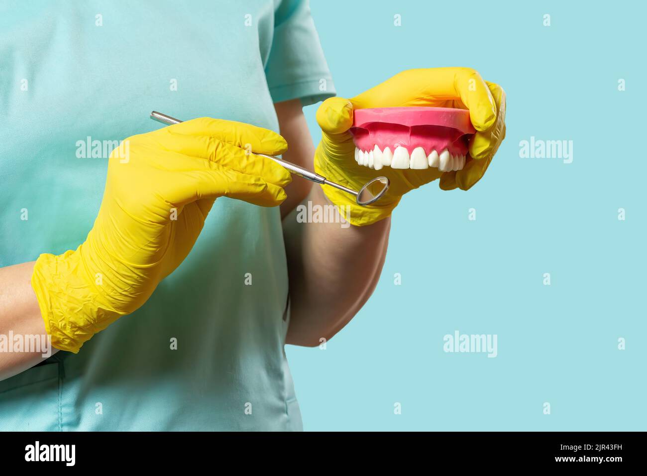 Dentist holding mouth mirror and layout of the human jaw Stock Photo ...