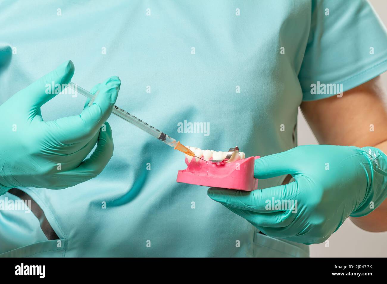 Dentist with layout of the human jaw and syringe Stock Photo Alamy