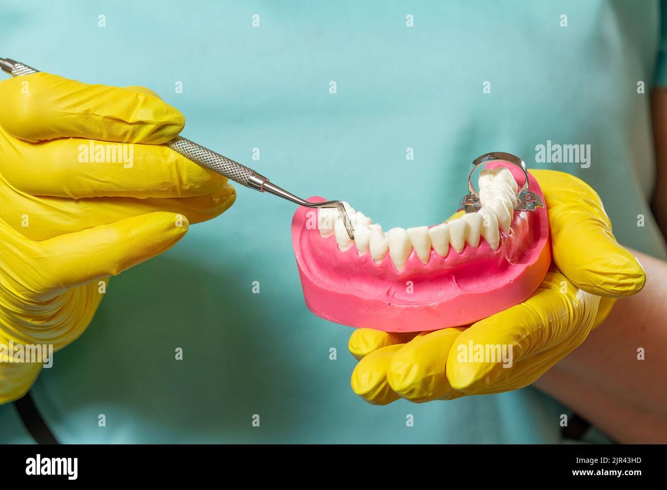 Dentist's hands with layout of the human jaw and dental instrument