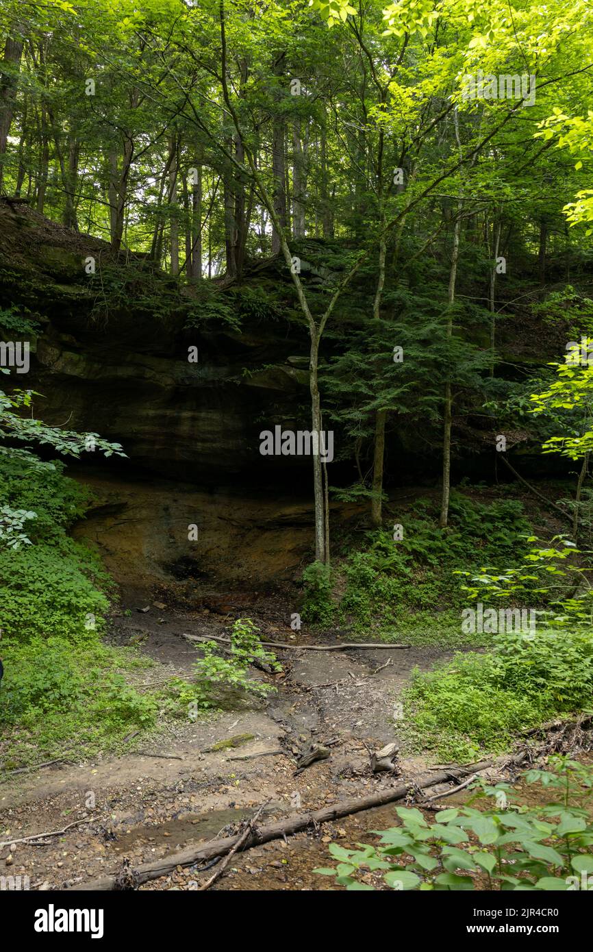 A vertical shot of trees and huge rocks in the forest Stock Photo - Alamy