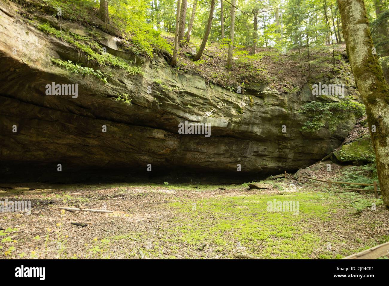 Uk Forest Rocks A huge rock formation in the middle of a forest Stock Photo - Alamy