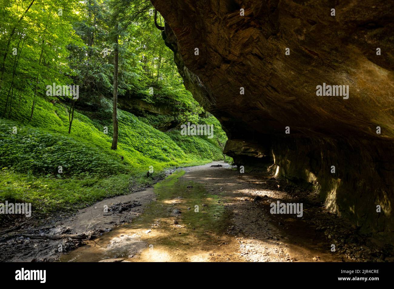 A huge rock formation in the middle of a forest Stock Photo - Alamy