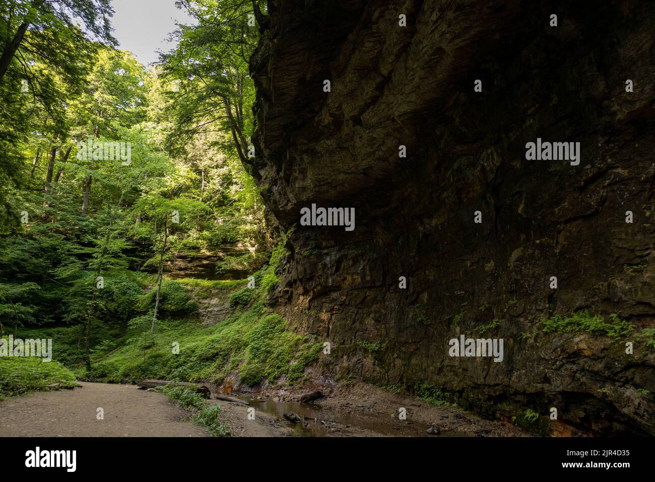 A huge rock formation in the middle of a forest Stock Photo - Alamy
