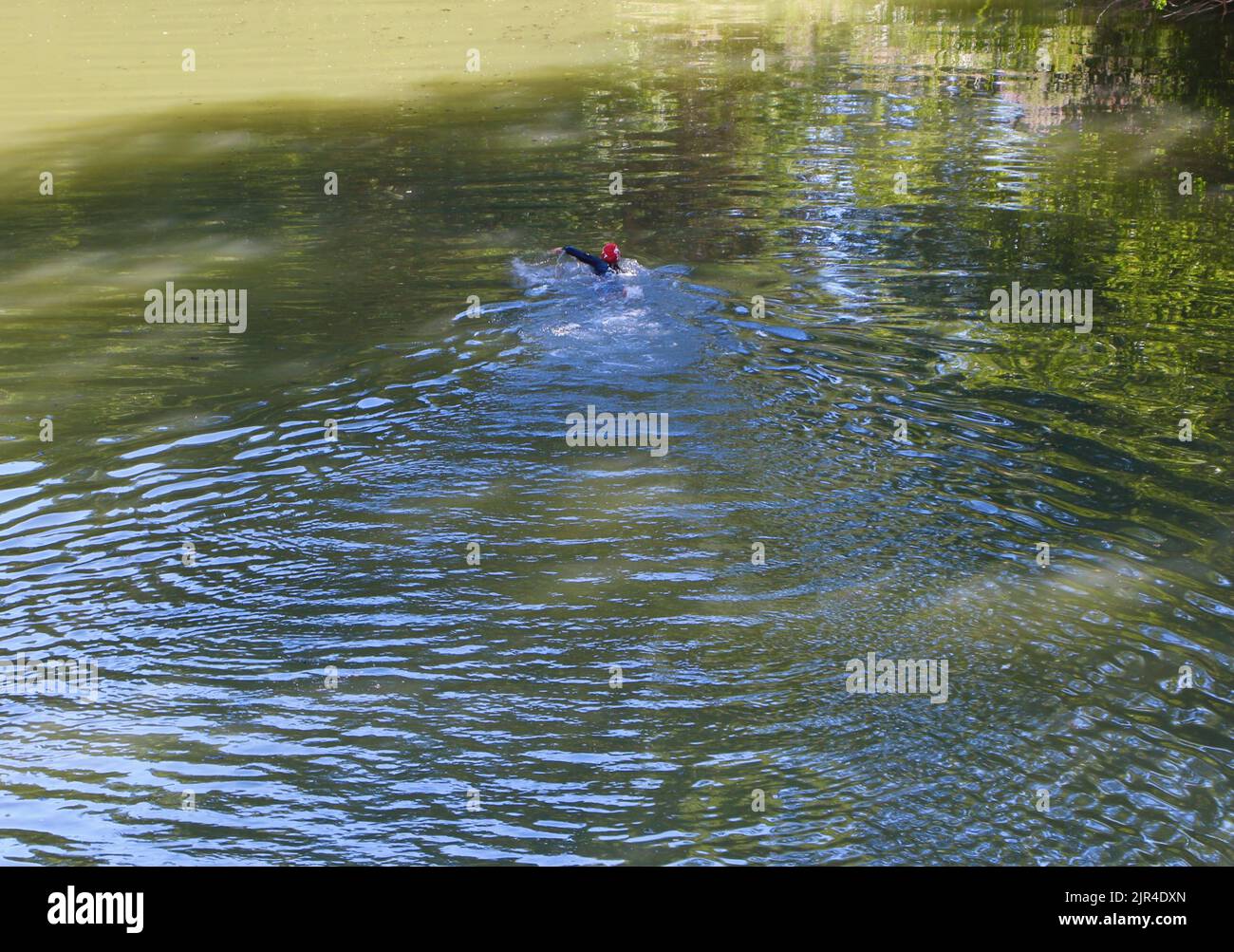 Wake Ripples Leading swimmer leaving a wake and ripples during the triathlon River ...
