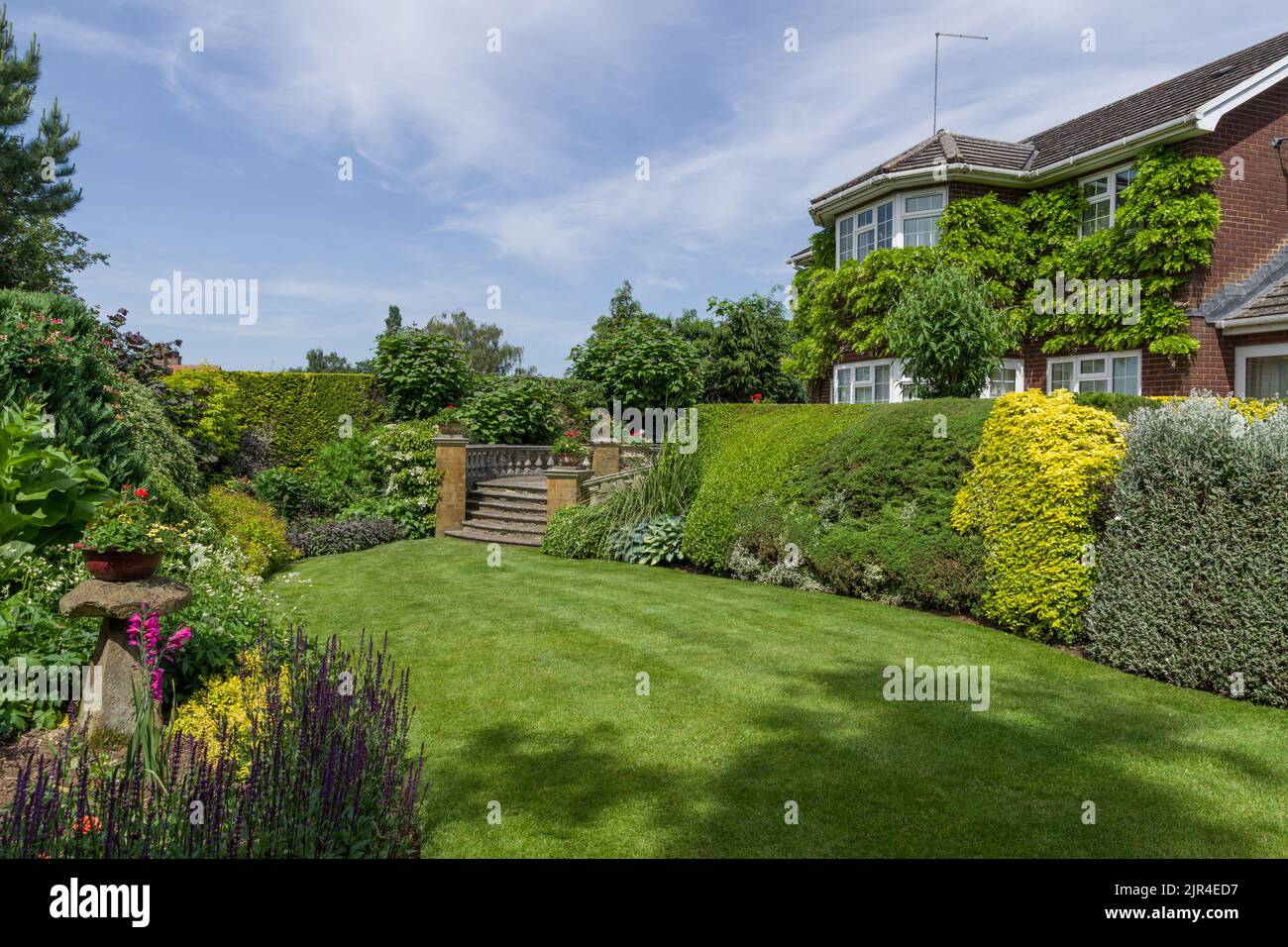 Typical English suburban garden in Summer laid to lawn, herbaceous borders and trees, Gayton village, Northamptonshire; part of open garden scheme Stock Photo
