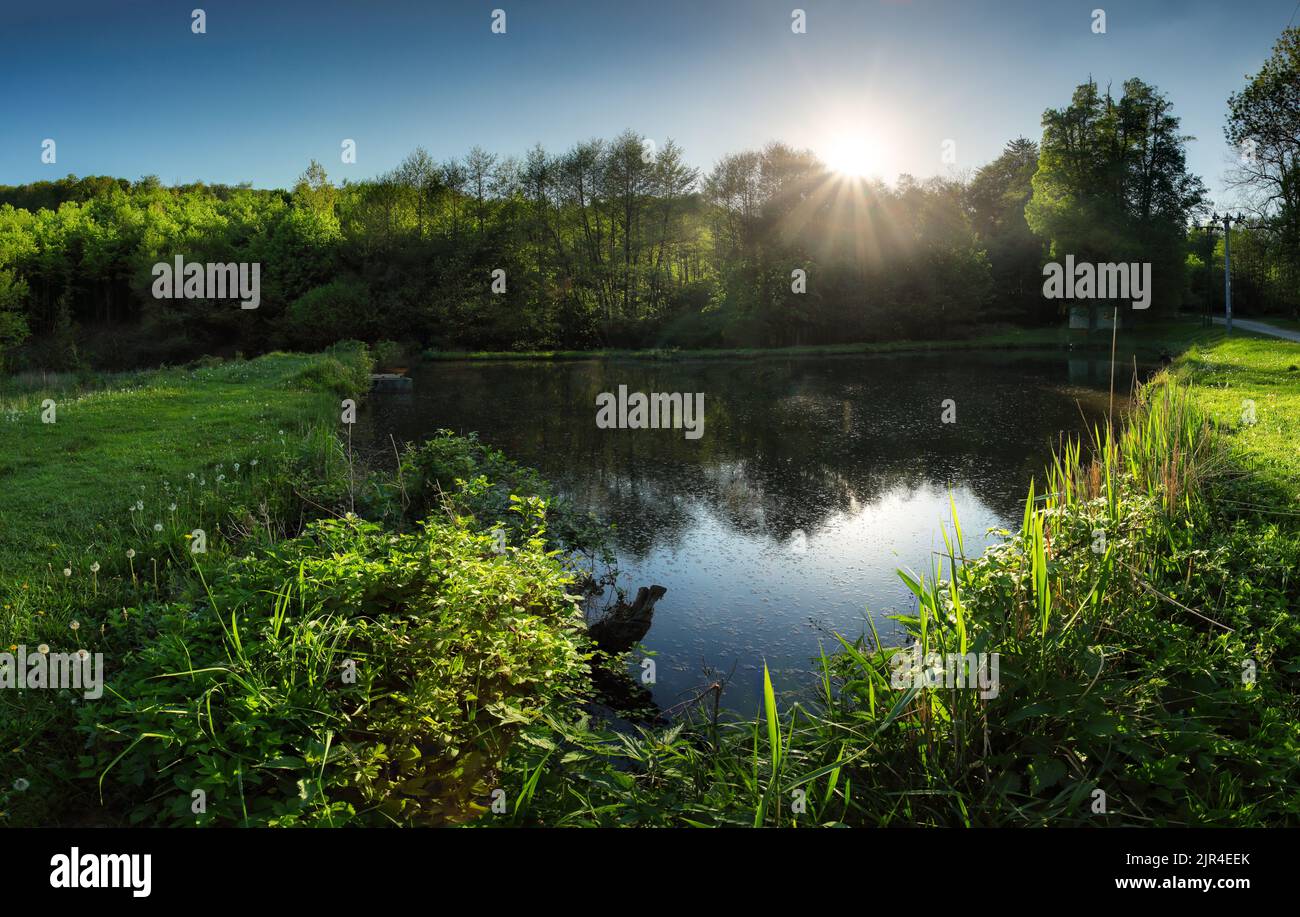 Lake with sun reflection in water near forest Stock Photo - Alamy