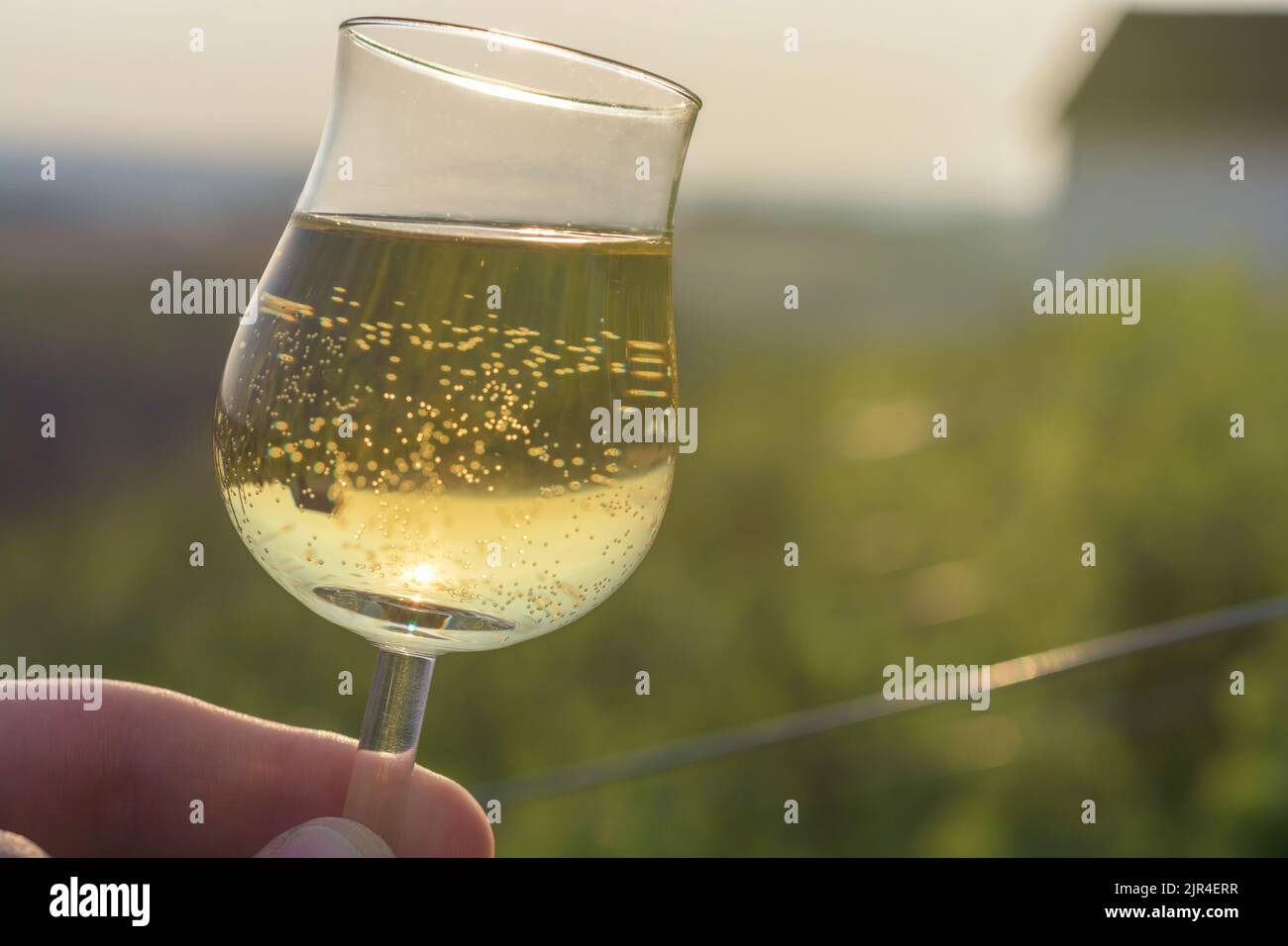 Control of the coloring of white wine Stock Photo