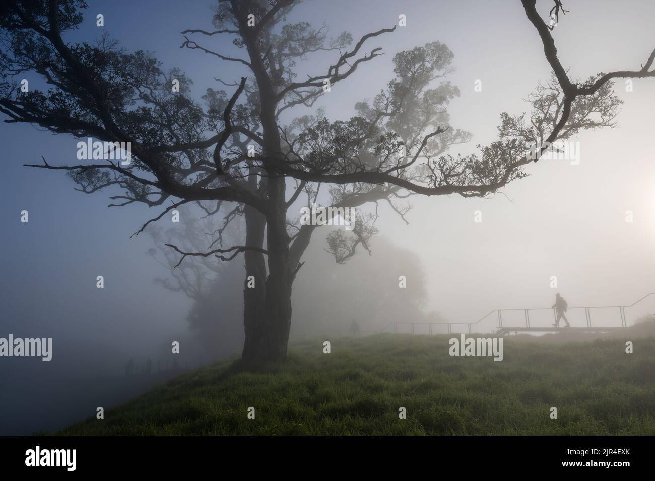 People walking at Mt Eden summit in the fog, Auckland. Stock Photo