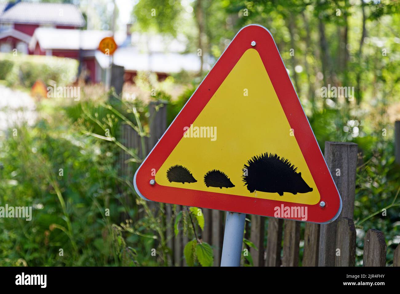 road sign warning of hedgehogs Stock Photo Alamy