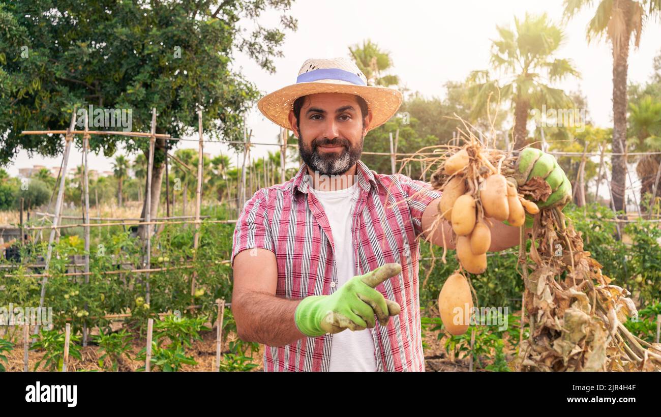 Portrait of a modern bearded farmer man with potatoes on hands looking at camera smile and stands in the agricultural field. Cheerful male worker in a Stock Photo