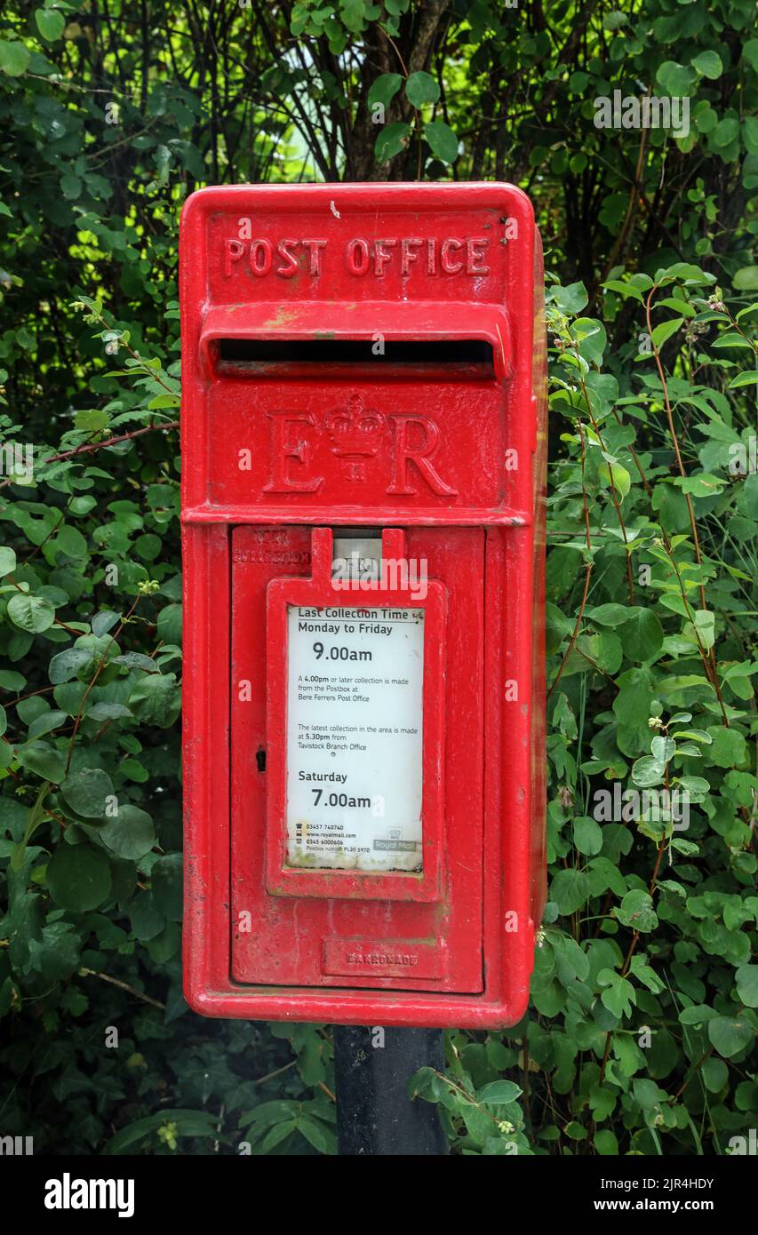 A bright red E R Post Box number PL20 597D,  in the little Devon Village of Bere Ferrers framed by leaves. A post GR VI style of lamp box. Stock Photo