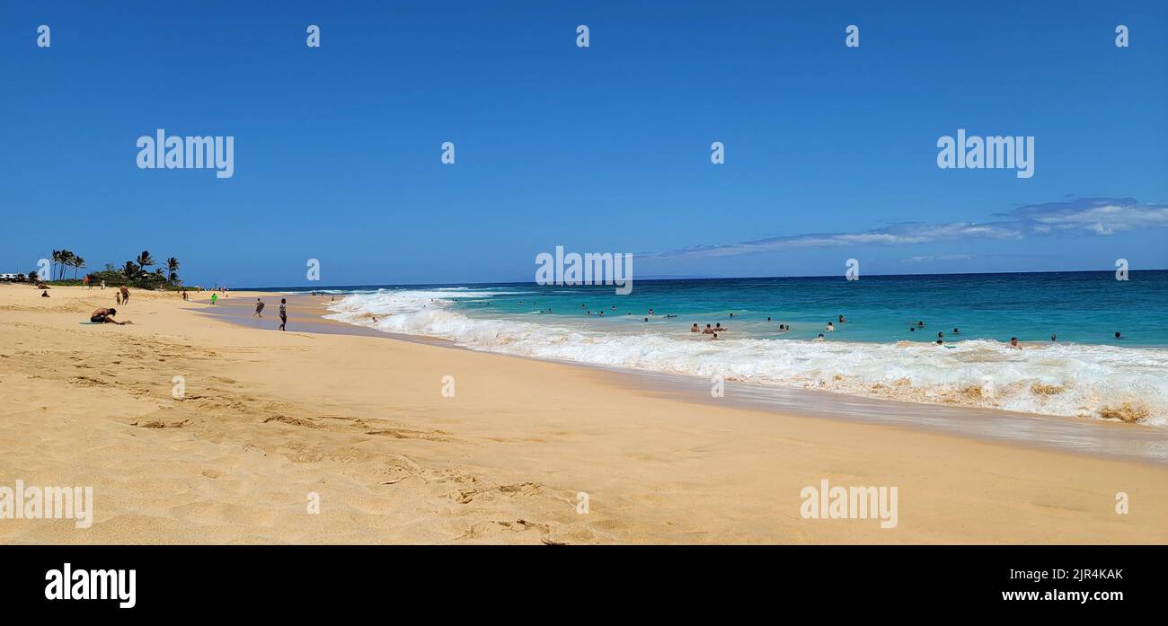 Sunny day on crowded beach hi-res stock photography and images - Alamy