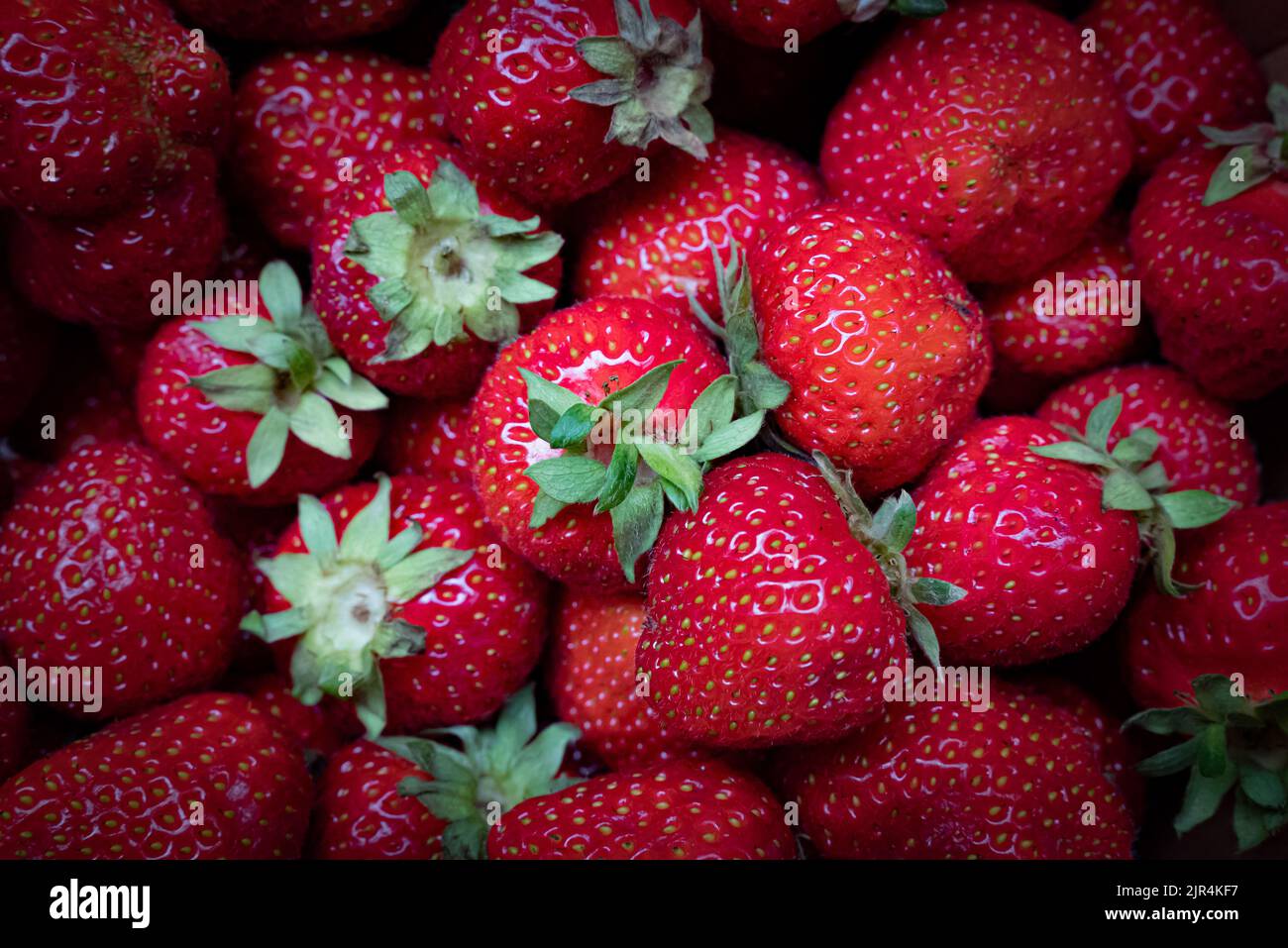 Strawberry frame hi-res stock photography and images - Alamy