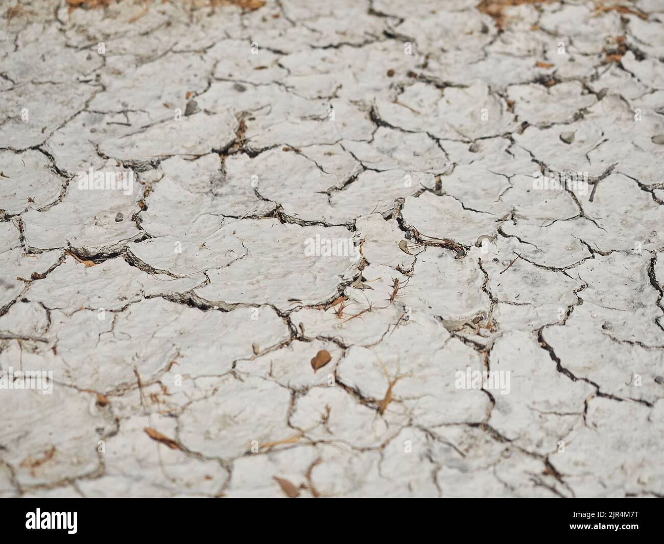 bone dry desert ground showing cracks in the white hard soil in Etosha pan Namibia Stock Photo