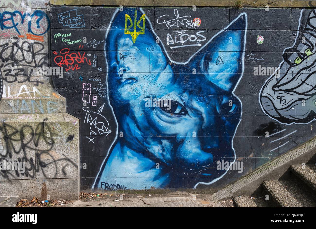 Street art mural of a cat and graffiti by the River Clyde Glasgow