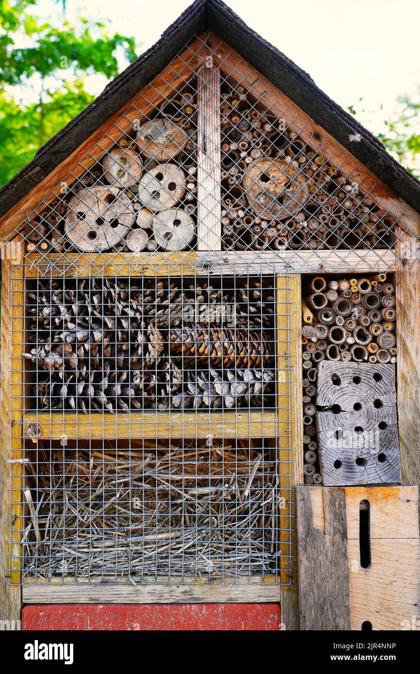 insect hotel. wooden insect house hanging from tree Stock Photo Alamy