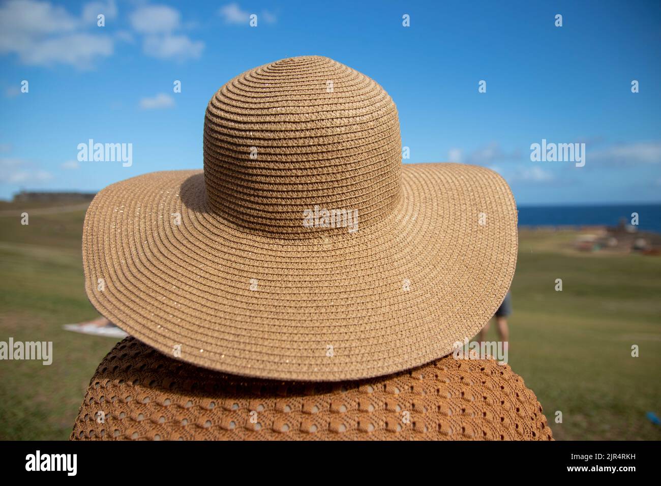 A fashionable summer straw hat with blur background of a green field ...