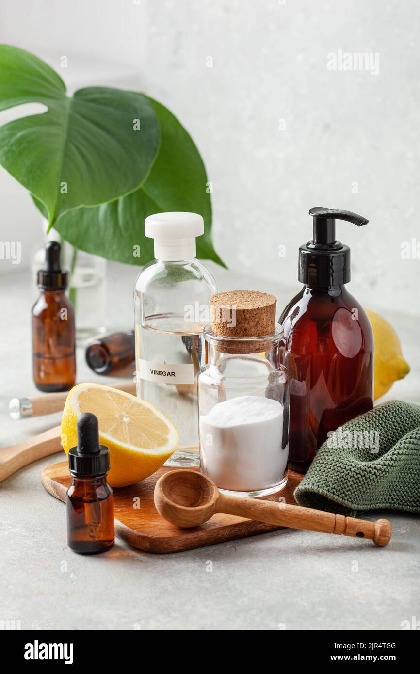 zero waste eco friendly cleaning concept. wooden brushes, baking soda