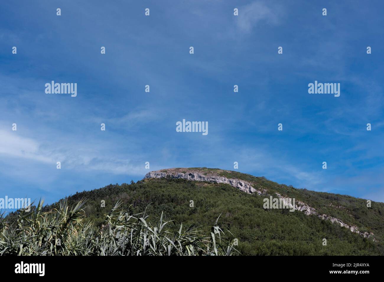 Green hill covered with vegetation and trees and blue sky showing a line of stratified limestone rocks in Serra da Boa Viagem mountain Stock Photo
