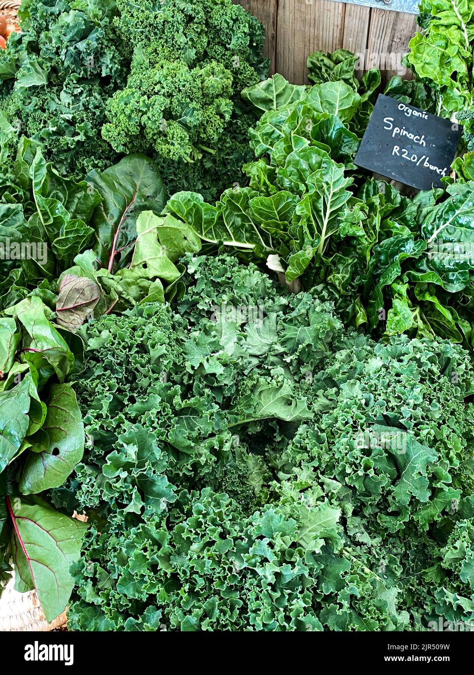 Kale spinach and chard hires stock photography and images Alamy