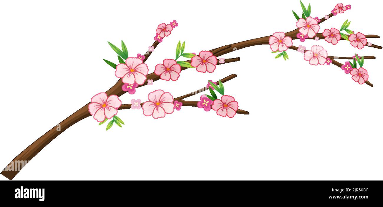 Cherry blossom branch isolated illustration Stock Vector Image & Art ...