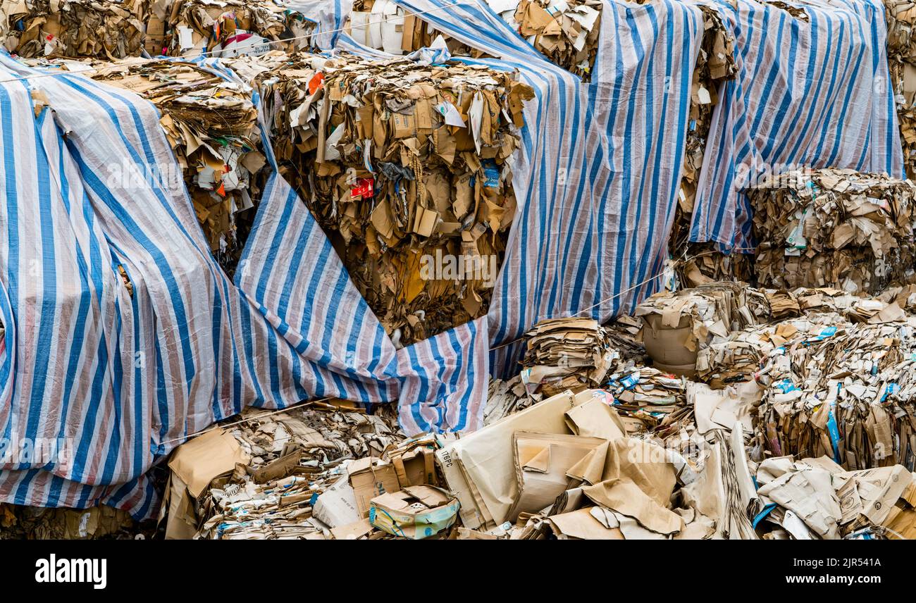 Stack of paper waste for recycle in recycling factory. Paper waste for recycle. Pile of cardboard box. Recycling business. Waste cardboard bundle Stock Photo