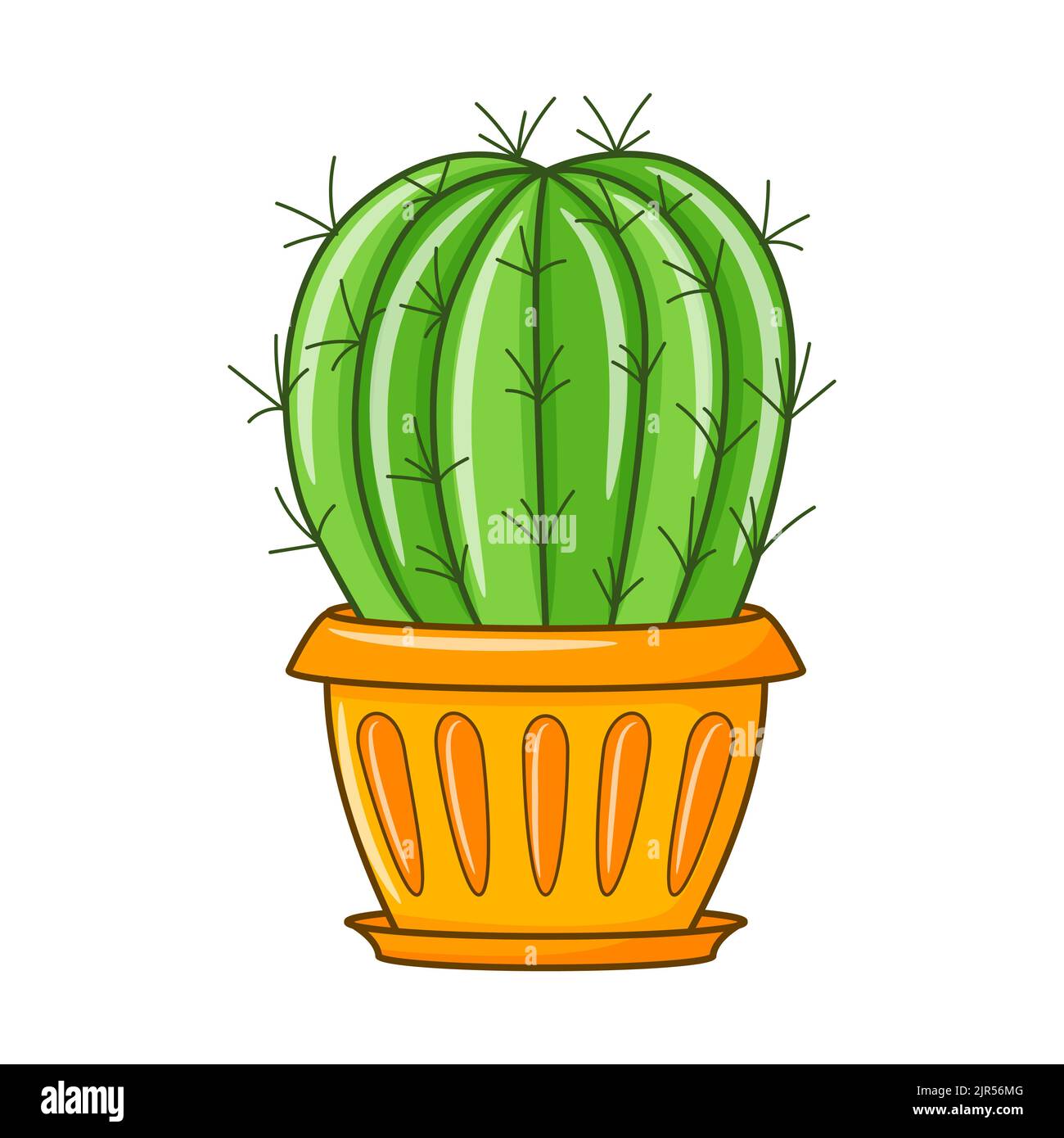 Whit cactus hires stock photography and images Alamy